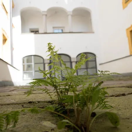 Wilder Mann Hotell Passau