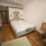Wilder Mann Passau
